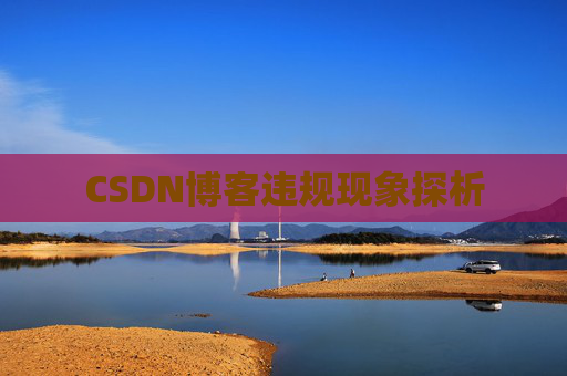 CSDN博客违规现象探析